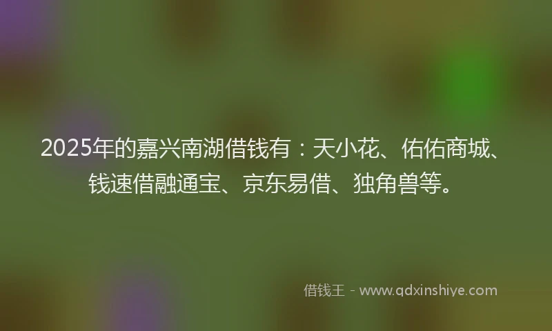 2025年的嘉兴南湖借钱有：天小花、佑佑商城、钱速借融通宝、京东易借、独角兽等。