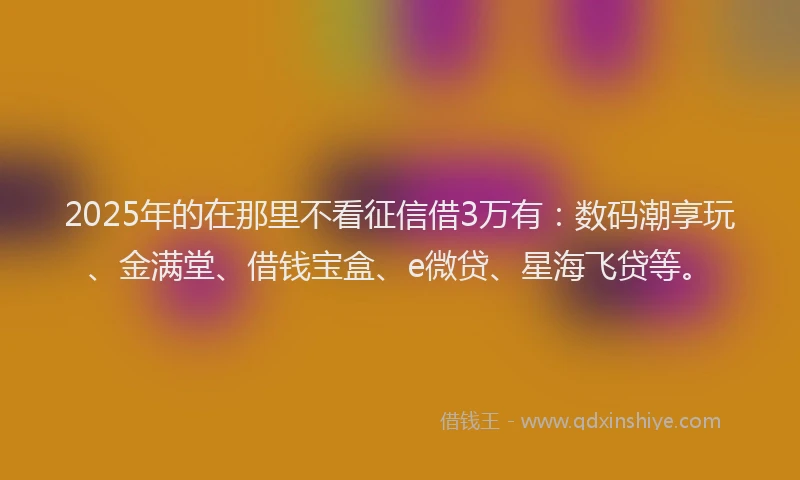 2025年的在那里不看征信借3万有：数码潮享玩、金满堂、借钱宝盒、e微贷、星海飞贷等。