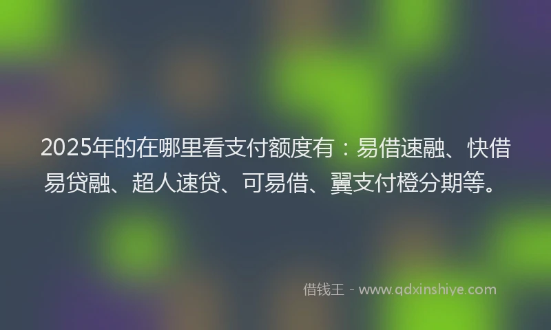 2025年的在哪里看支付额度有：易借速融、快借易贷融、超人速贷、可易借、翼支付橙分期等。