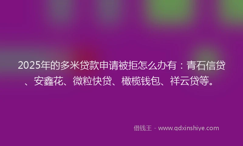 2025年的多米贷款申请被拒怎么办有：青石信贷、安鑫花、微粒快贷、橄榄钱包、祥云贷等。