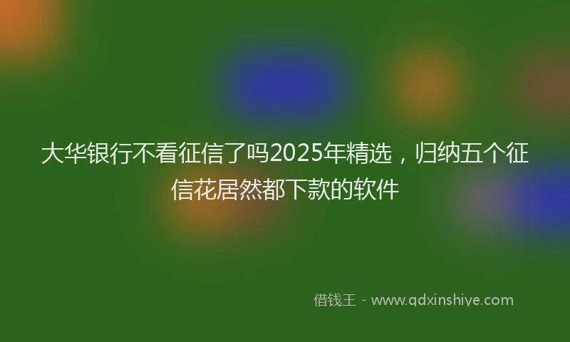 大华银行不看征信了吗2025年精选，归纳五个征信花居然都下款的软件