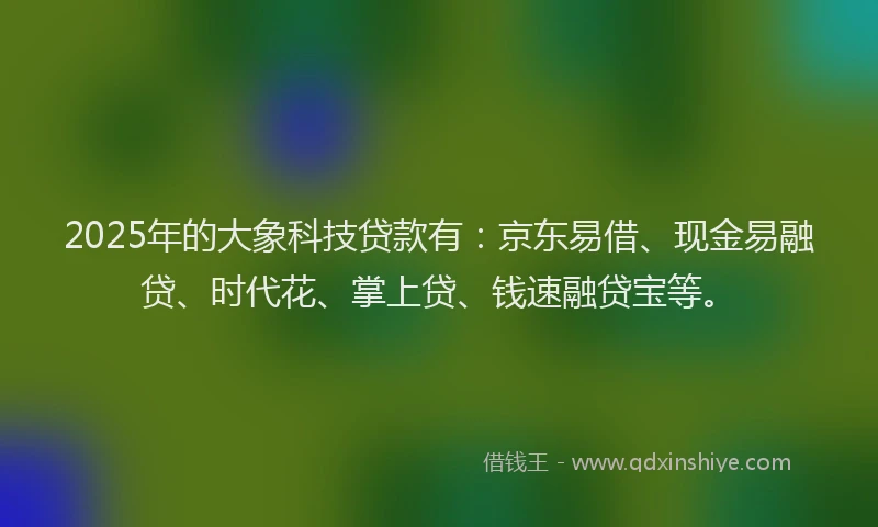2025年的大象科技贷款有：京东易借、现金易融贷、时代花、掌上贷、钱速融贷宝等。