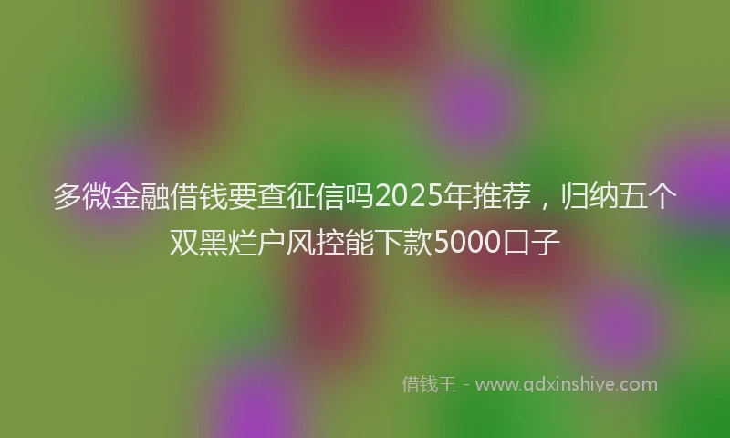 多微金融借钱要查征信吗2025年推荐，归纳五个双黑烂户风控能下款5000口子