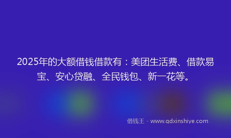 2025年的大额借钱借款有：美团生活费、借款易宝、安心贷融、全民钱包、新一花等。