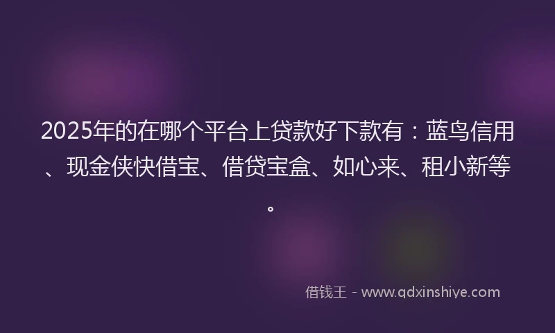 2025年的在哪个平台上贷款好下款有：蓝鸟信用、现金侠快借宝、借贷宝盒、如心来、租小新等。