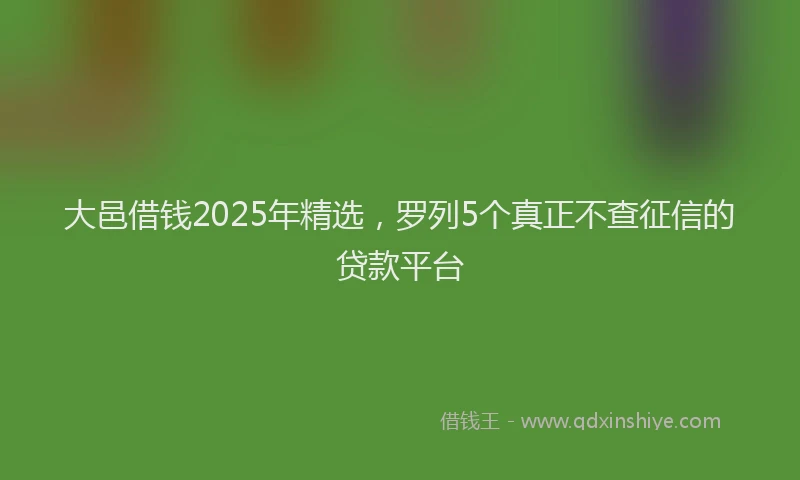 大邑借钱2025年精选，罗列5个真正不查征信的贷款平台