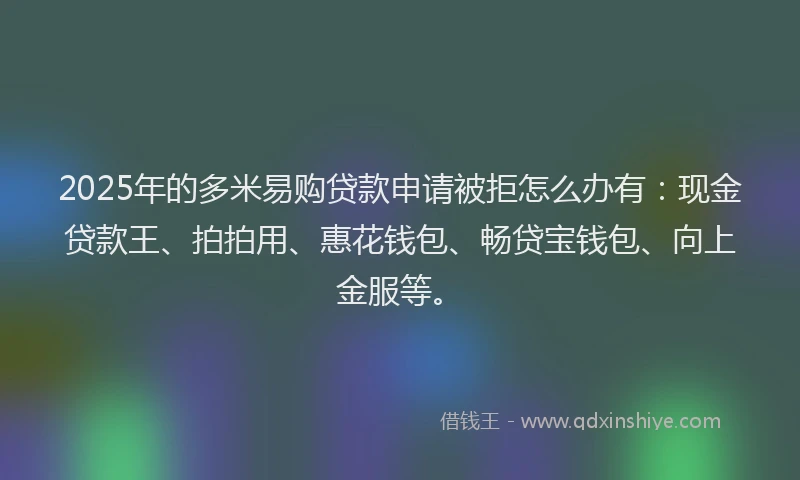 2025年的多米易购贷款申请被拒怎么办有：现金贷款王、拍拍用、惠花钱包、畅贷宝钱包、向上金服等。