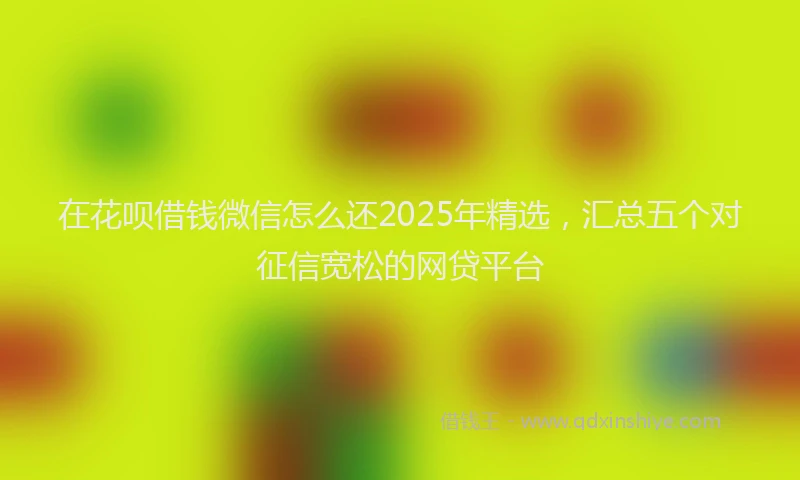 在花呗借钱微信怎么还2025年精选，汇总五个对征信宽松的网贷平台