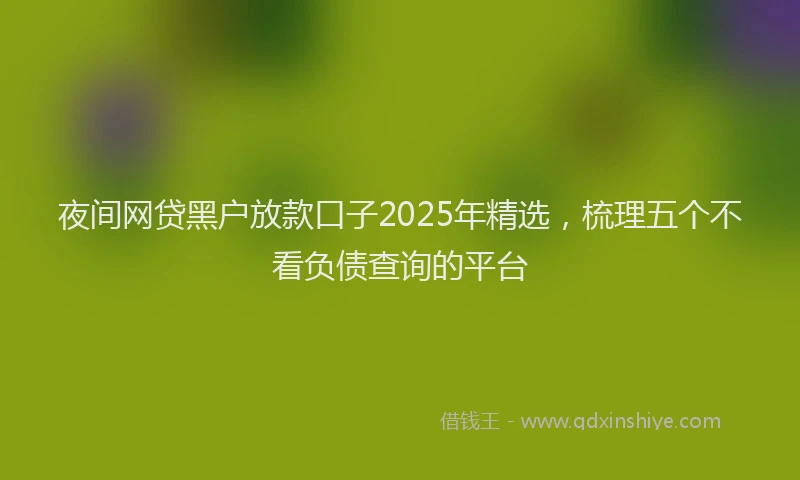 夜间网贷黑户放款口子2025年精选，梳理五个不看负债查询的平台