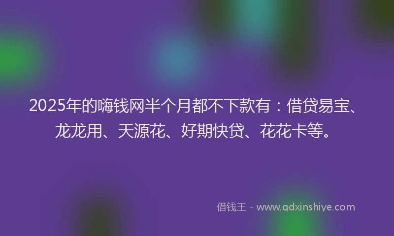 2025年的嗨钱网半个月都不下款有：借贷易宝、龙龙用、天源花、好期快贷、花花卡等。