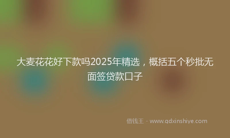 大麦花花好下款吗2025年精选，概括五个秒批无面签贷款口子