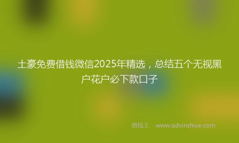 土豪免费借钱微信2025年精选，总结五个无视黑户花户必下款口子