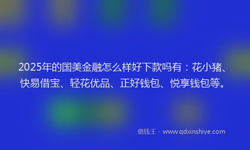 2025年的国美金融怎么样好下款吗有：花小猪、快易借宝、轻花优品、正好钱包、悦享钱包等。