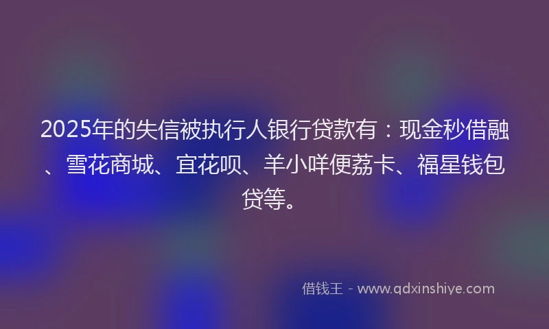 2025年的失信被执行人银行贷款有：现金秒借融、雪花商城、宜花呗、羊小咩便荔卡、福星钱包贷等。