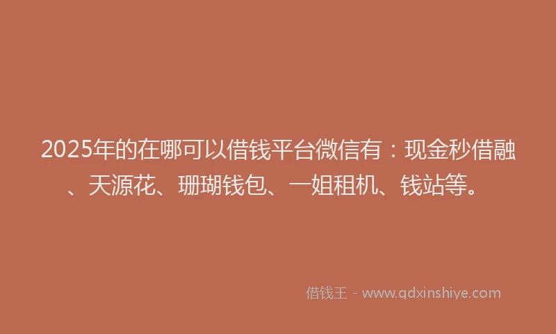2025年的在哪可以借钱平台微信有：现金秒借融、天源花、珊瑚钱包、一姐租机、钱站等。