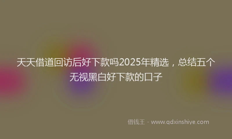 天天借道回访后好下款吗2025年精选，总结五个无视黑白好下款的口子