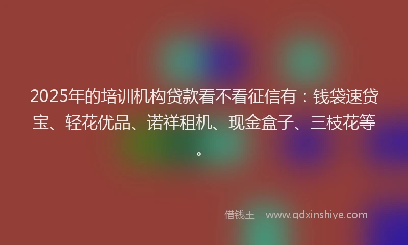 2025年的培训机构贷款看不看征信有：钱袋速贷宝、轻花优品、诺祥租机、现金盒子、三枝花等。
