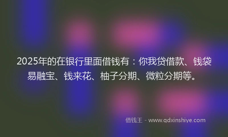 2025年的在银行里面借钱有：你我贷借款、钱袋易融宝、钱来花、柚子分期、微粒分期等。