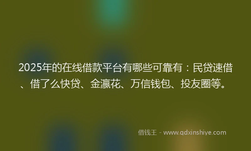 2025年的在线借款平台有哪些可靠有：民贷速借、借了么快贷、金瀛花、万信钱包、投友圈等。