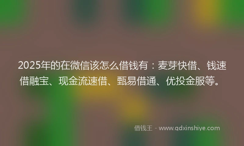 2025年的在微信该怎么借钱有：麦芽快借、钱速借融宝、现金流速借、甄易借通、优投金服等。