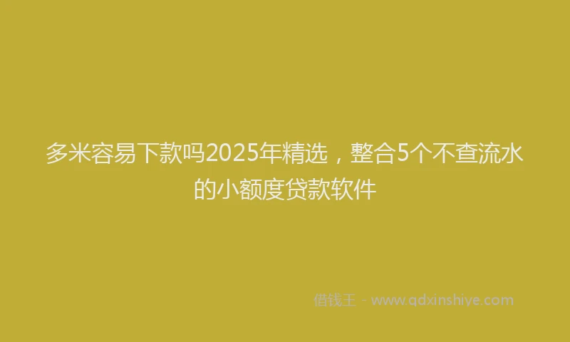 多米容易下款吗2025年精选，整合5个不查流水的小额度贷款软件