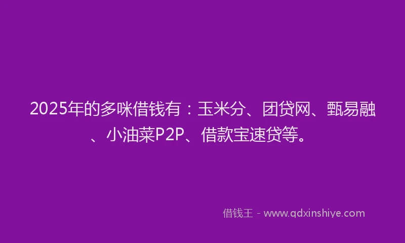 2025年的多咪借钱有：玉米分、团贷网、甄易融、小油菜P2P、借款宝速贷等。