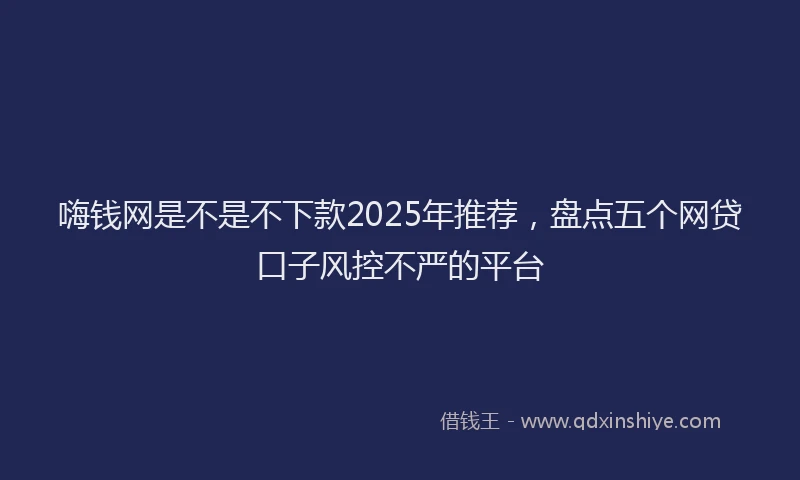 嗨钱网是不是不下款2025年推荐，盘点五个网贷口子风控不严的平台
