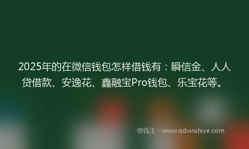 2025年的在微信钱包怎样借钱有：瞬信金、人人贷借款、安逸花、鑫融宝Pro钱包、乐宝花等。