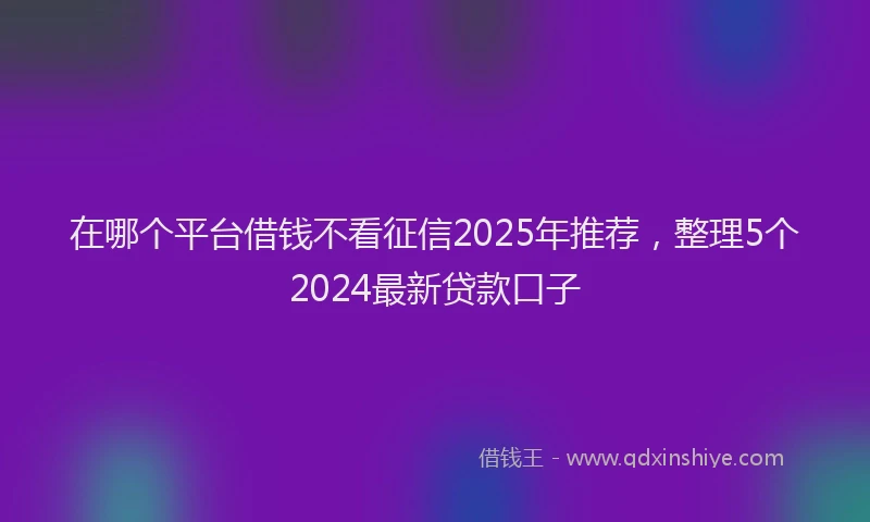 在哪个平台借钱不看征信2025年推荐，整理5个2024最新贷款口子