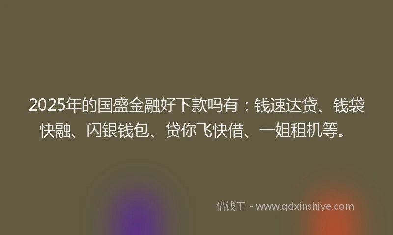 2025年的国盛金融好下款吗有：钱速达贷、钱袋快融、闪银钱包、贷你飞快借、一姐租机等。