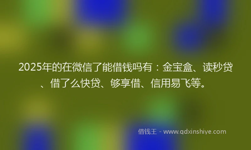 2025年的在微信了能借钱吗有：金宝盒、读秒贷、借了么快贷、够享借、信用易飞等。