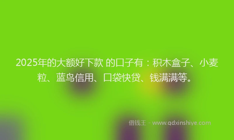 2025年的大额好下款 的口子有：积木盒子、小麦粒、蓝鸟信用、口袋快贷、钱满满等。