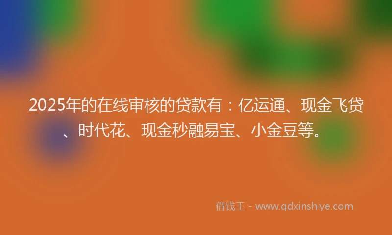 2025年的在线审核的贷款有：亿运通、现金飞贷、时代花、现金秒融易宝、小金豆等。