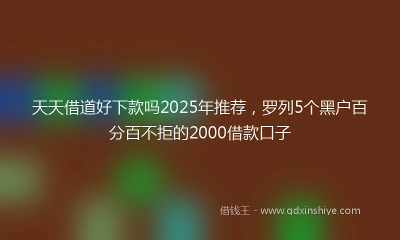 天天借道好下款吗2025年推荐，罗列5个黑户百分百不拒的2000借款口子