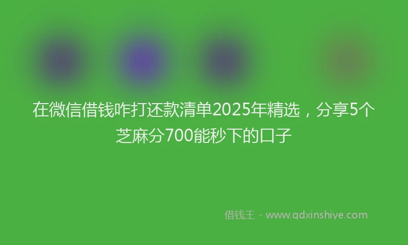 在微信借钱咋打还款清单2025年精选，分享5个芝麻分700能秒下的口子