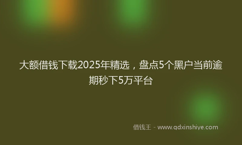 大额借钱下载2025年精选，盘点5个黑户当前逾期秒下5万平台