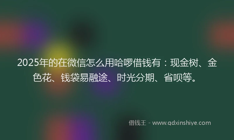 2025年的在微信怎么用哈啰借钱有：现金树、金色花、钱袋易融途、时光分期、省呗等。