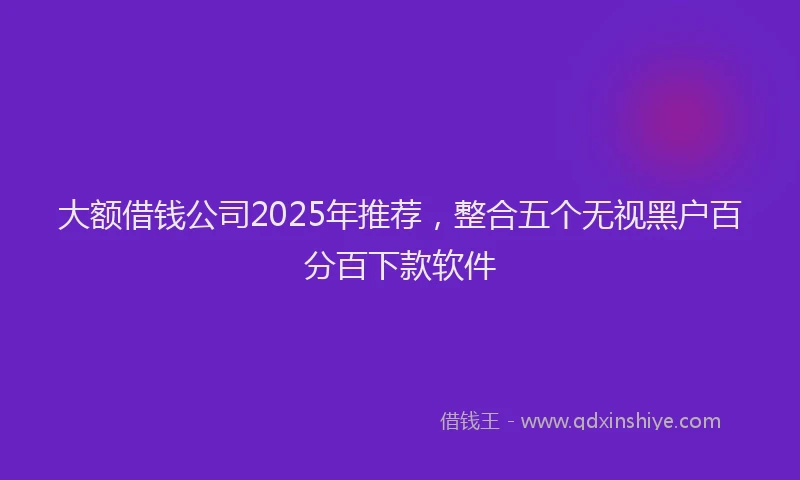大额借钱公司2025年推荐，整合五个无视黑户百分百下款软件