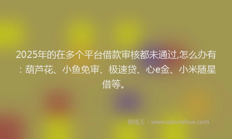 2025年的在多个平台借款审核都未通过,怎么办有：葫芦花、小鱼免审、极速贷、心e金、小米随星借等。