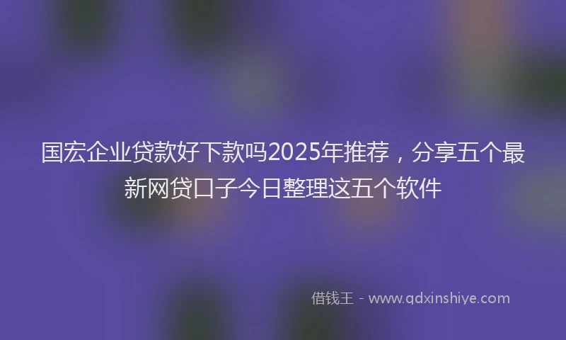 国宏企业贷款好下款吗2025年推荐，分享五个最新网贷口子今日整理这五个软件