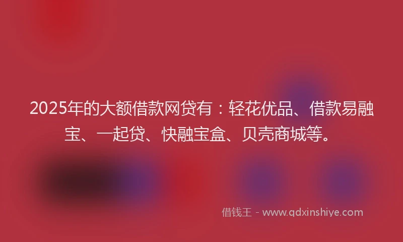 2025年的大额借款网贷有：轻花优品、借款易融宝、一起贷、快融宝盒、贝壳商城等。