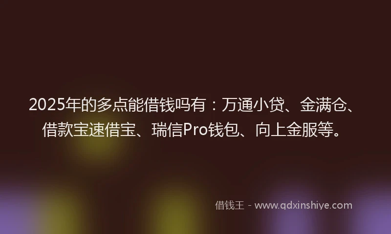2025年的多点能借钱吗有：万通小贷、金满仓、借款宝速借宝、瑞信Pro钱包、向上金服等。