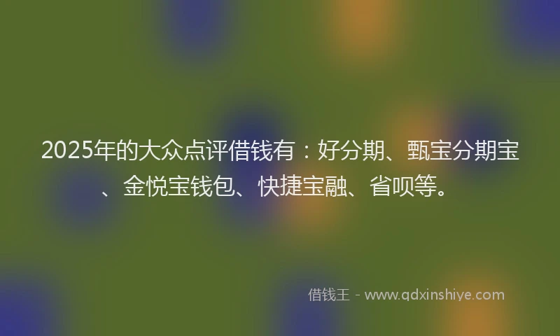 2025年的大众点评借钱有：好分期、甄宝分期宝、金悦宝钱包、快捷宝融、省呗等。