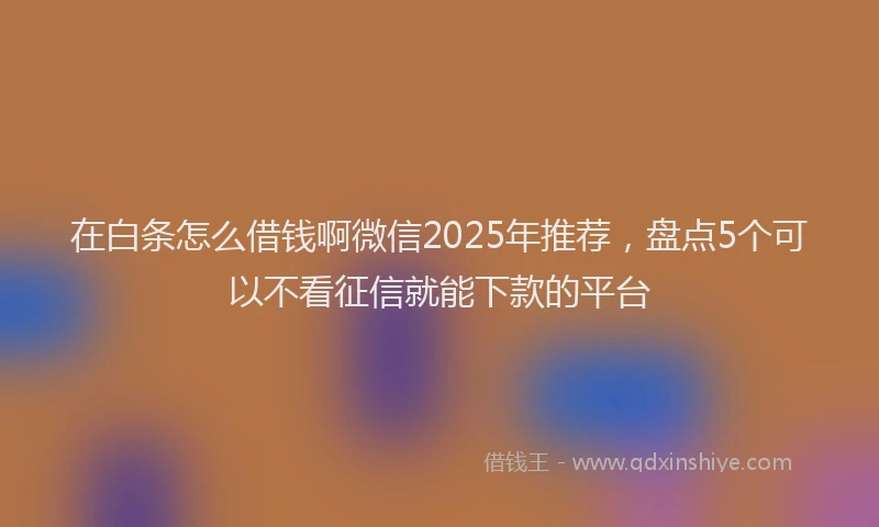 在白条怎么借钱啊微信2025年推荐，盘点5个可以不看征信就能下款的平台