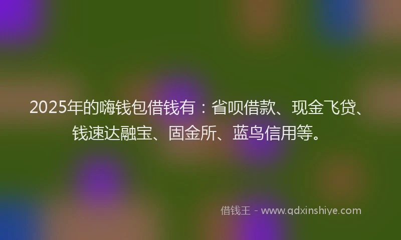 2025年的嗨钱包借钱有：省呗借款、现金飞贷、钱速达融宝、固金所、蓝鸟信用等。