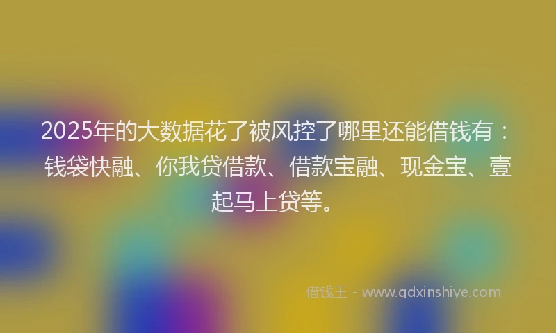 2025年的大数据花了被风控了哪里还能借钱有：钱袋快融、你我贷借款、借款宝融、现金宝、壹起马上贷等。
