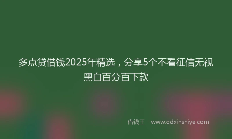 多点贷借钱2025年精选，分享5个不看征信无视黑白百分百下款