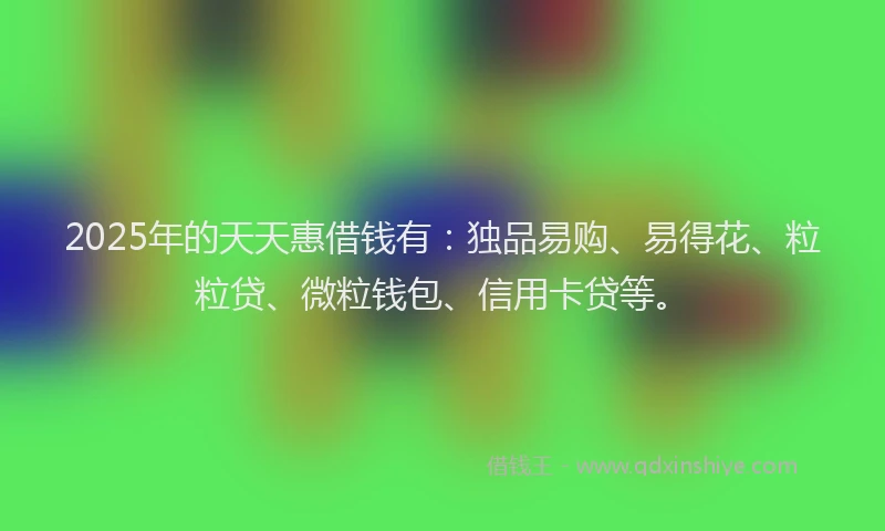 2025年的天天惠借钱有：独品易购、易得花、粒粒贷、微粒钱包、信用卡贷等。