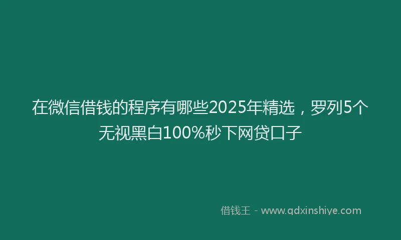 在微信借钱的程序有哪些2025年精选，罗列5个无视黑白100%秒下网贷口子