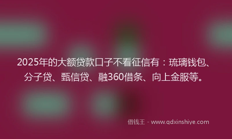 2025年的大额贷款口子不看征信有：琉璃钱包、分子贷、甄信贷、融360借条、向上金服等。